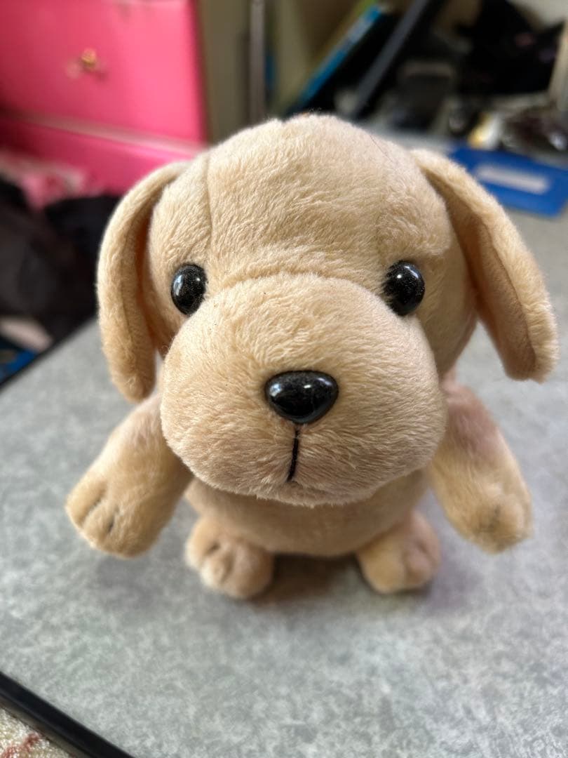 岩*美様 廃盤　美品！バナナサンド　犬　こえマネわんちゃん