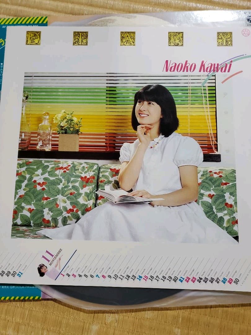 河合奈保子さん　LPレコード　2枚セット　サマーヒロイン&ダイアリー　希少品です