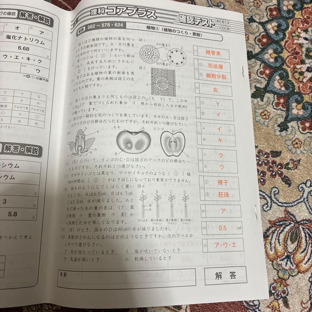 小5、6 デイリーサピックスとサマーサピックス