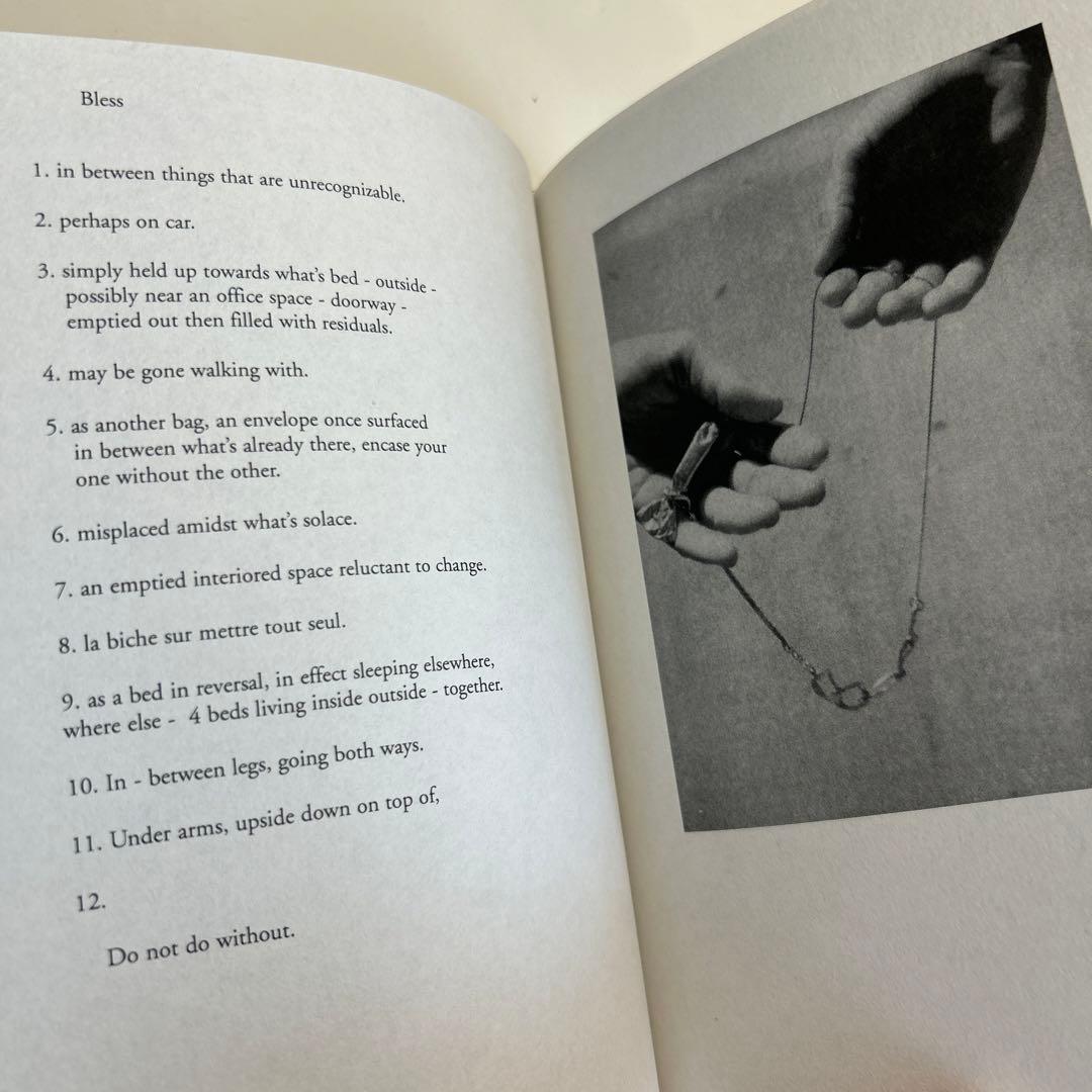 【洋書】Mark Borthwick