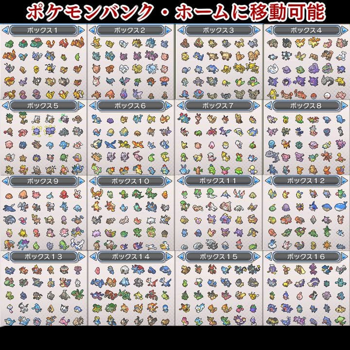 ポケットモンスター　ウルトラムーン　【ウルトラサンムーン】ポケモン　3DS　21