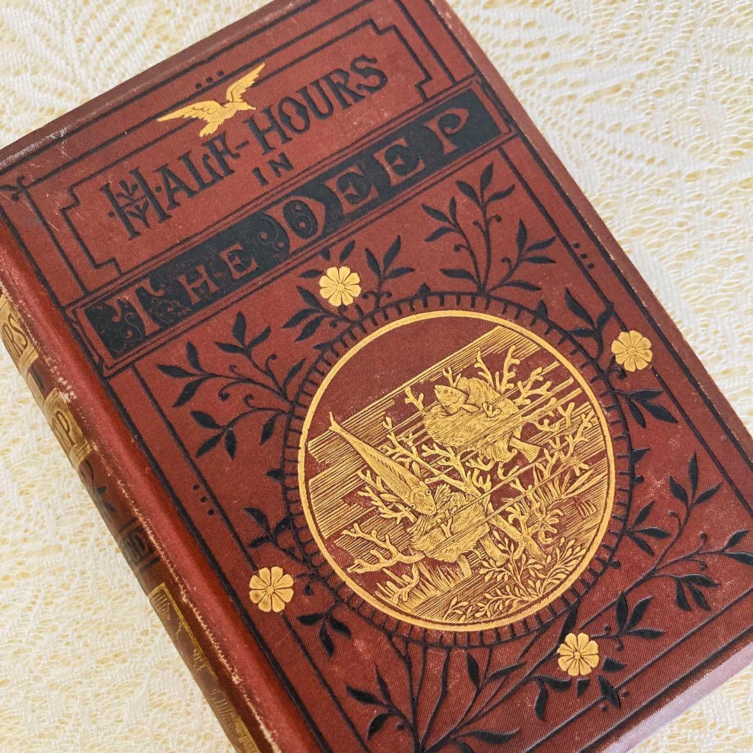 洋書　古書　美しいアンティークブック　1880年発行　海の驚異　海の生き物　自然