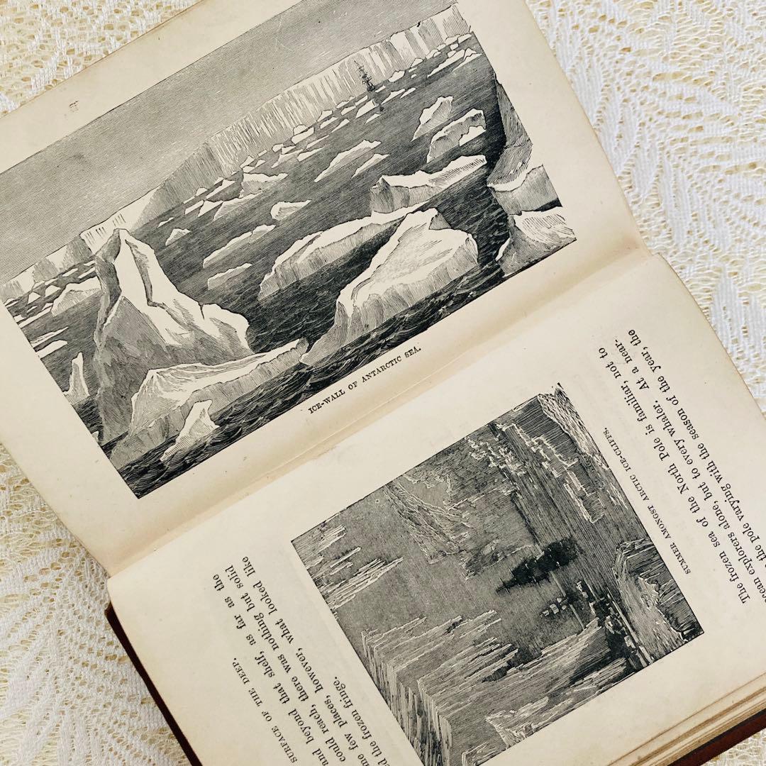 洋書　古書　美しいアンティークブック　1880年発行　海の驚異　海の生き物　自然