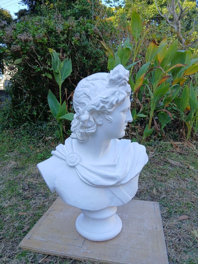 アポロ胸像81cm