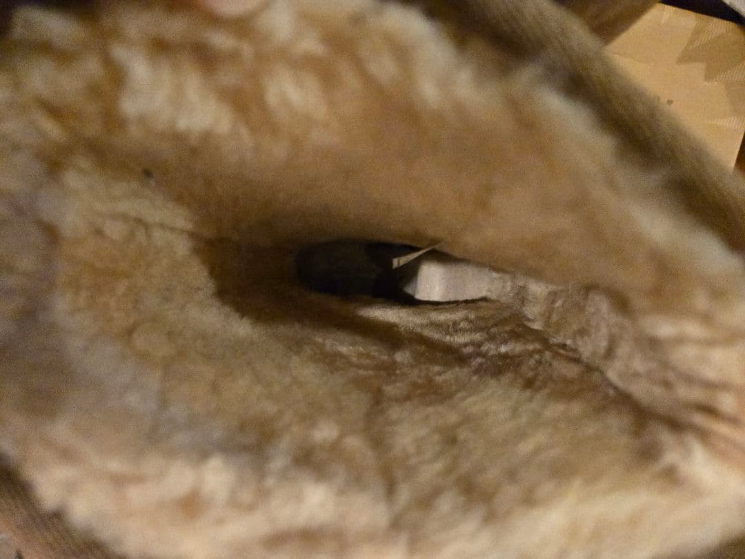 UGG アグ クラシックショート ムートンブーツ 26cm