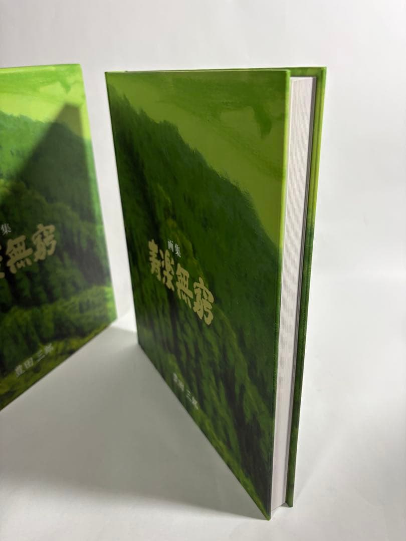 豊田三郎　寿楽無窮　画集