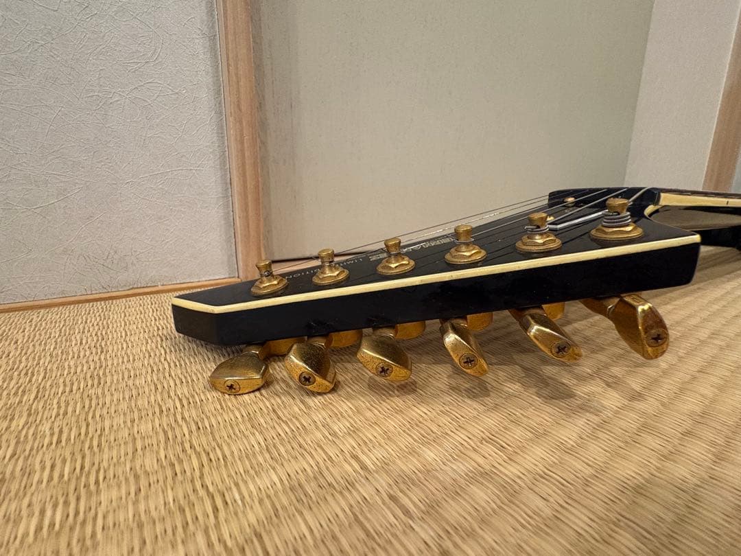 S*n様 最終値下げです　FERNANDES TEJ-55G リミテッドエディシ