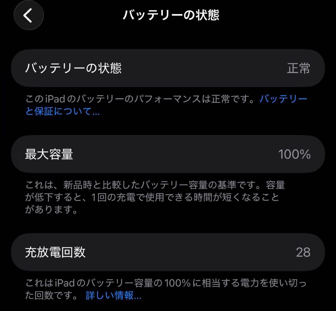 iPad Air M3 256GB セルラーモデル