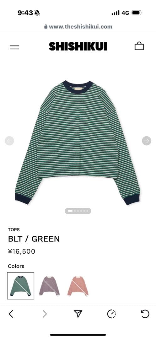 SHISHIKUIストライプ柄 BLT / GREEN トップス