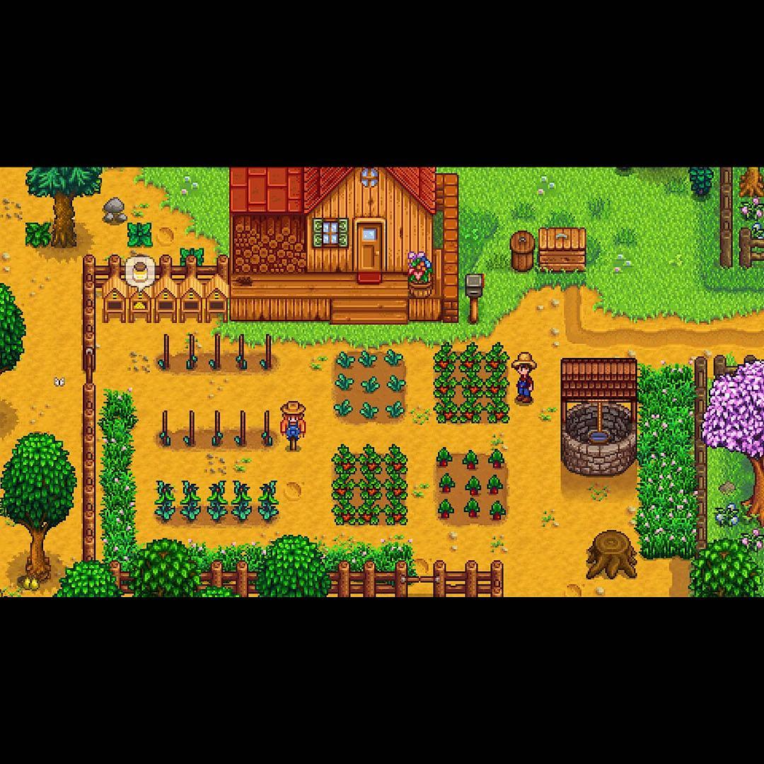 スターデューバレー Stardew Valley 北米版 switch スイッチ