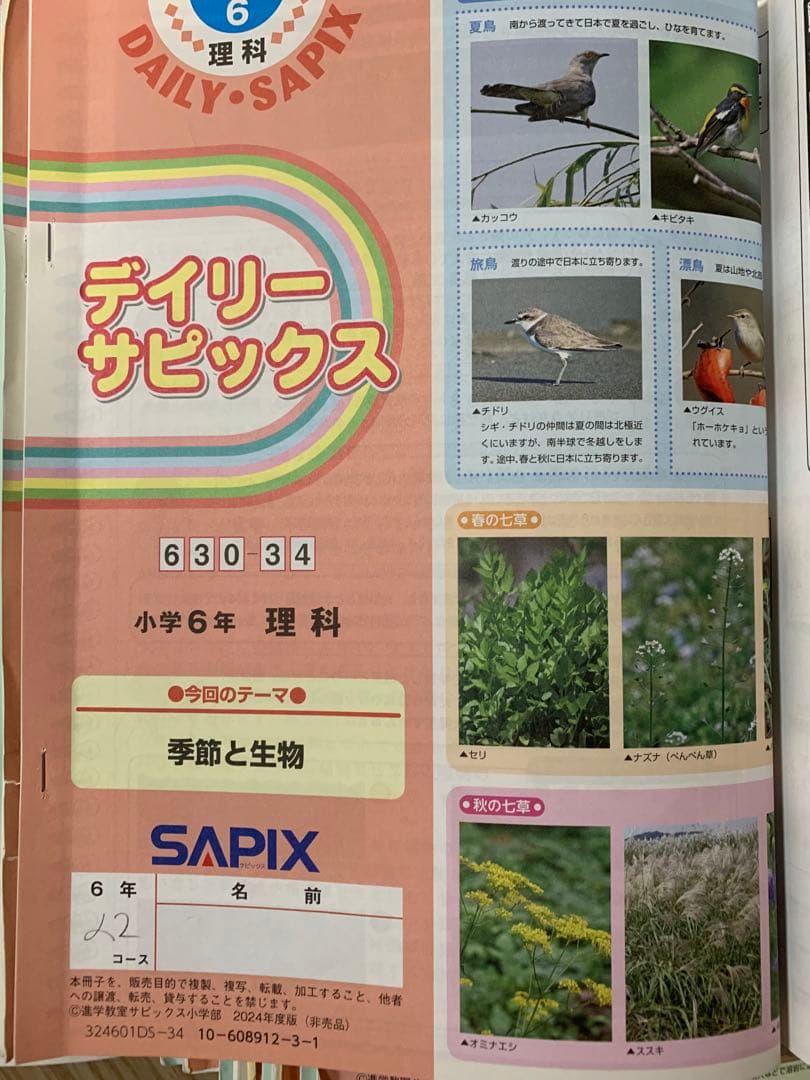 サピックス 6年生 理科テキスト 2025年受験分