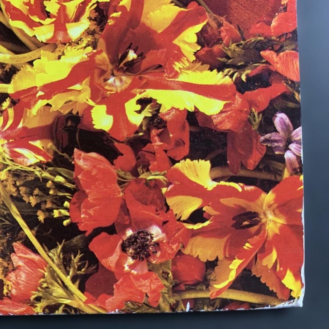 Paul McCartney / Flowers In The Dirt UK盤