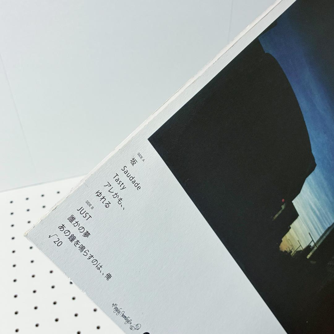 田我流とカイザーソゼ EVISBEATS ゆれる 収録 LPレコード