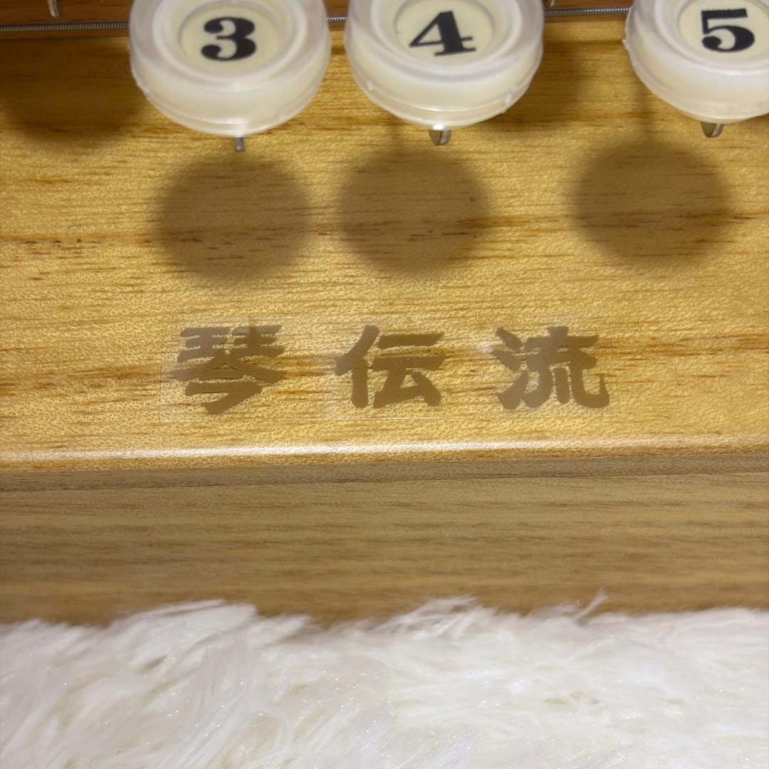 【極美品】大正琴　銀河　ソフトケース付き