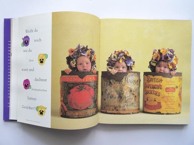 洋書◆アン・ゲデスが撮影した赤ちゃんの写真集 本 庭の奥で