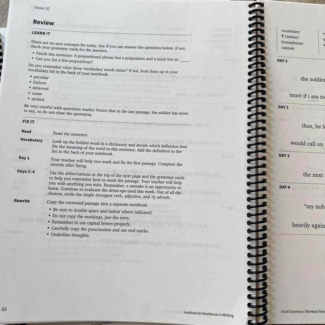 語学・辞書・学習参考書 Fix It! Grammar The Nose Tree