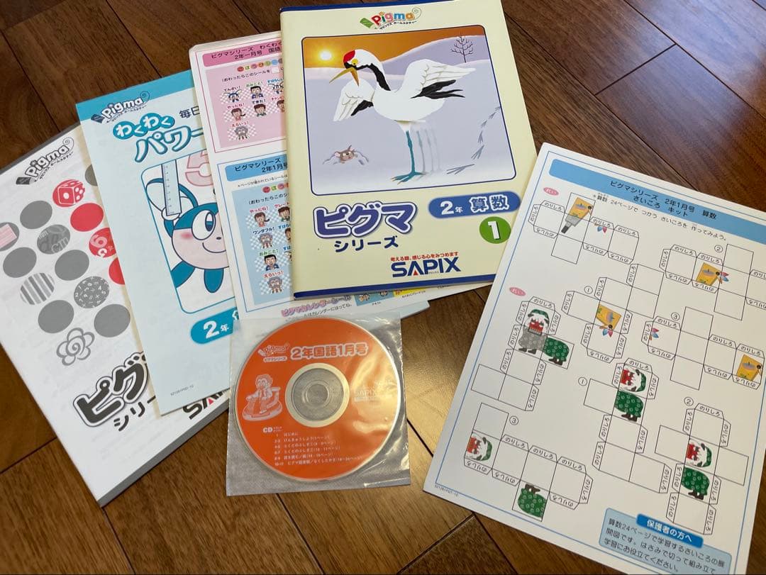 えり 【未記入】サピックス　ピグマ　2年生　通信