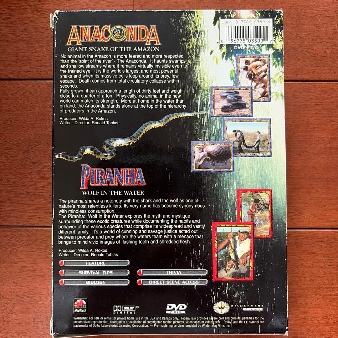 DVD セット自然