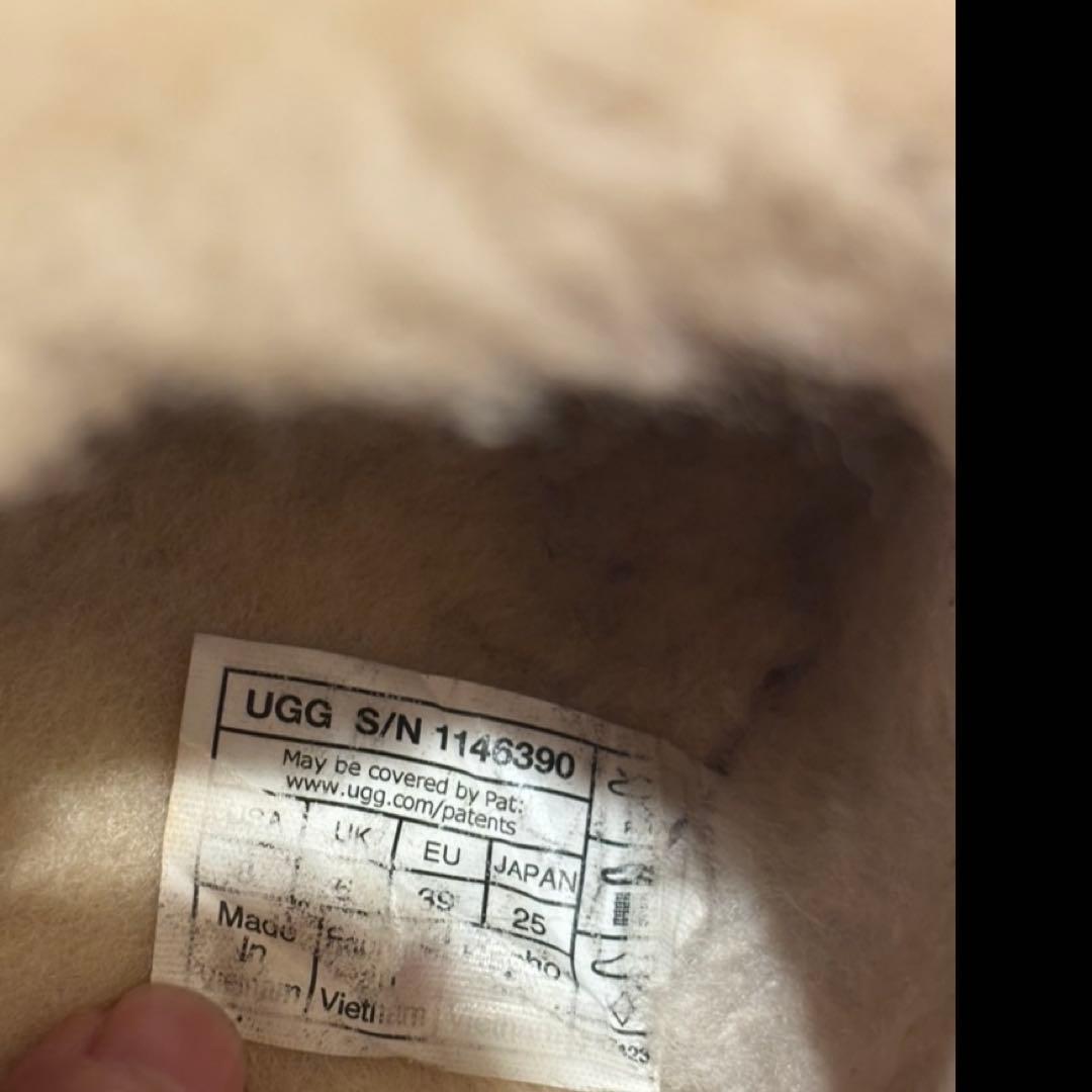 売り切り最終価格。箱付！UGG ダズリータ　25cm