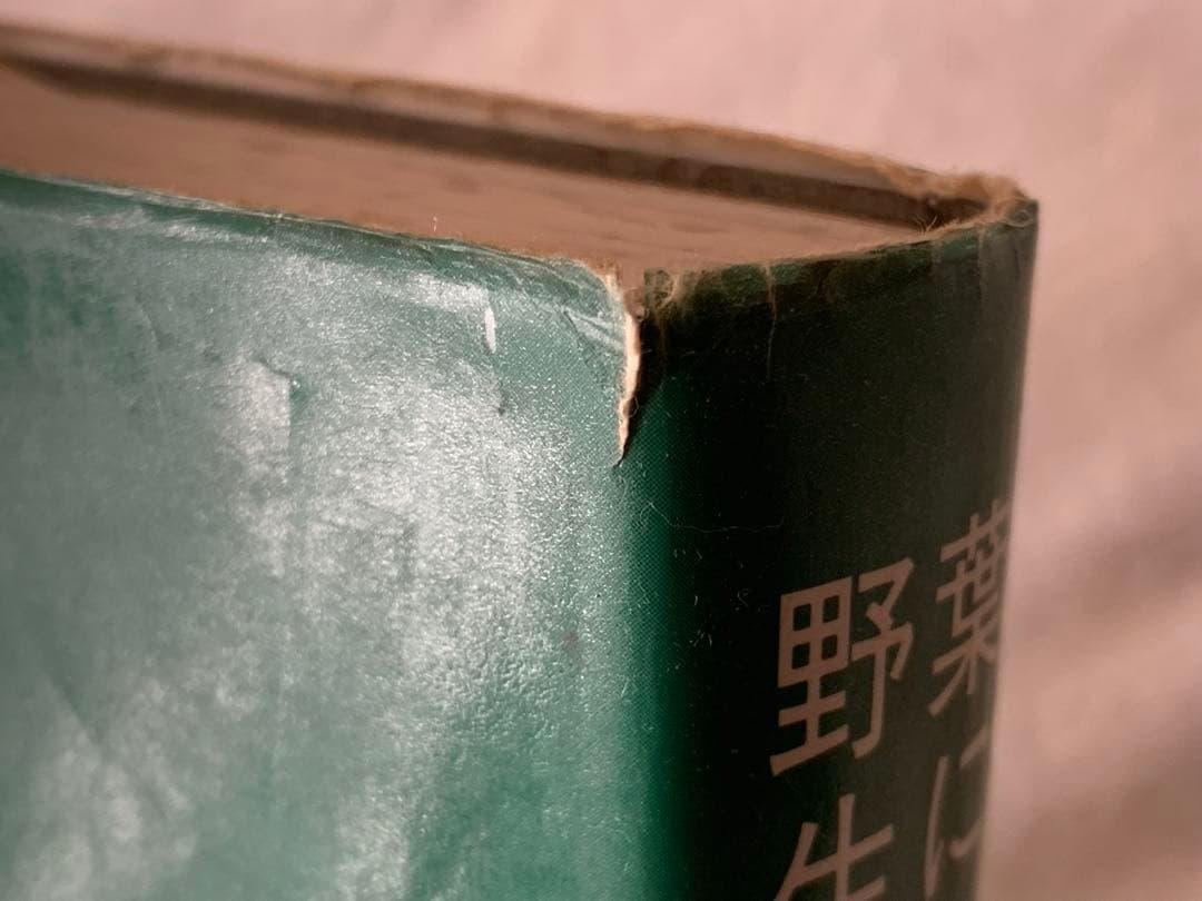 葉による野生植物の検索図鑑 阿部 正敏　誠文堂新光社