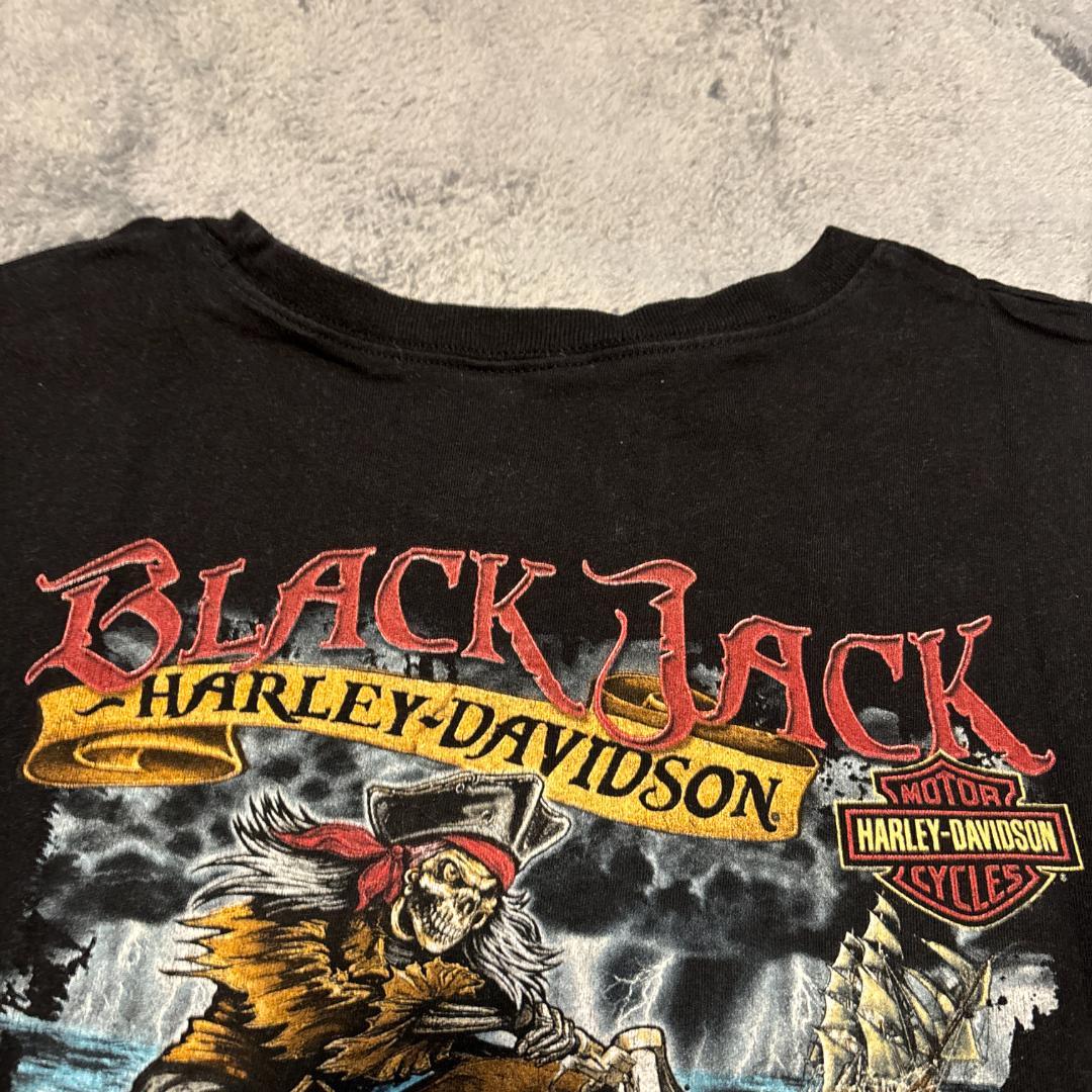 HARLEY-DAVIDSON　2014年製　ノースリーブ　L 大地