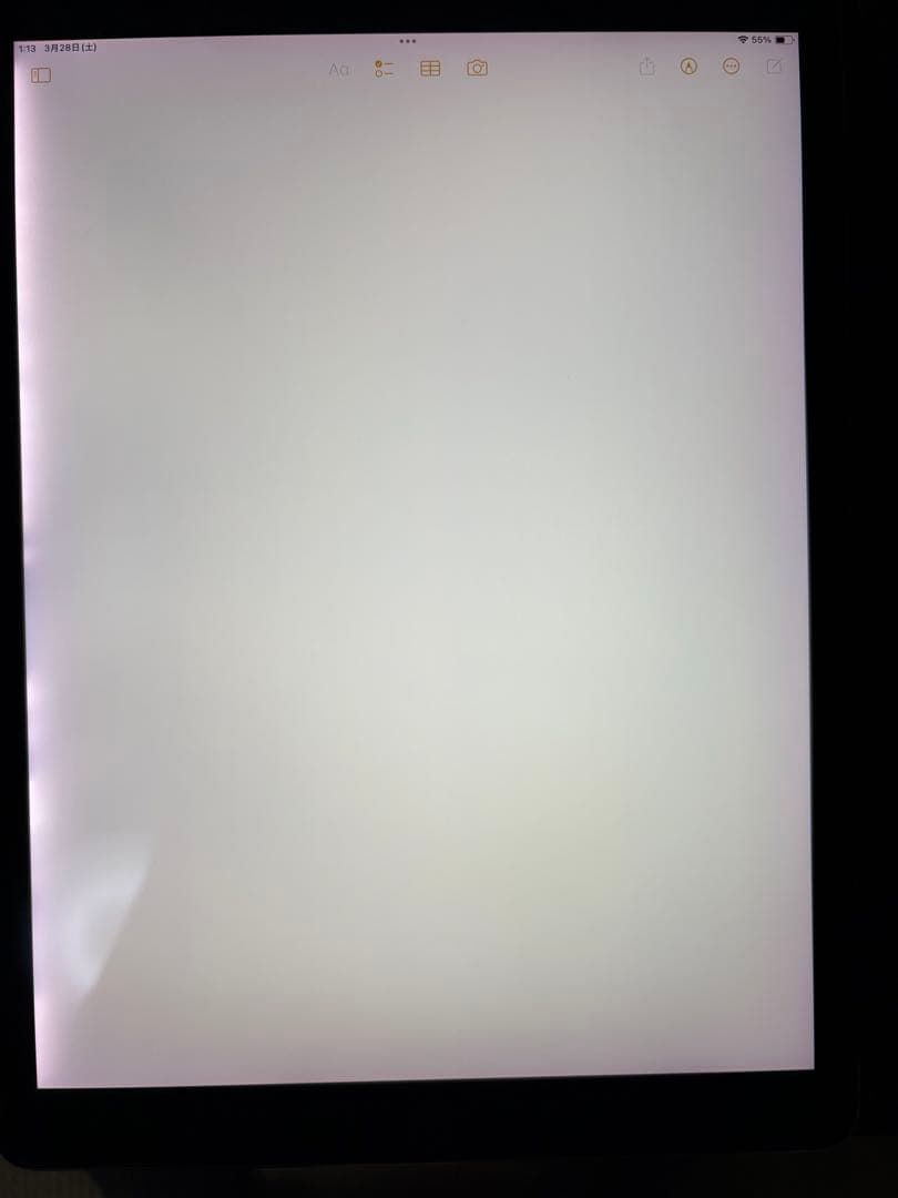 iPad Pro 12.9 第2世代 256GB Apple Pencil 付