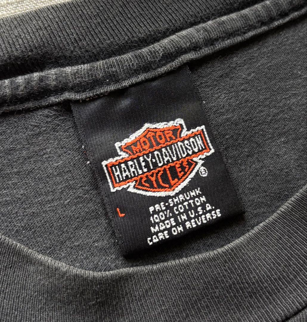 【雰囲気抜群】90s ハーレーダビッドソン Tシャツ フレイムUSA製 アメカジ