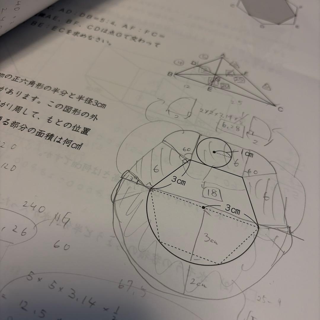 25年度日能研6年合格力実践テスト（難関）、合格力育成テスト（総合）計全12回分