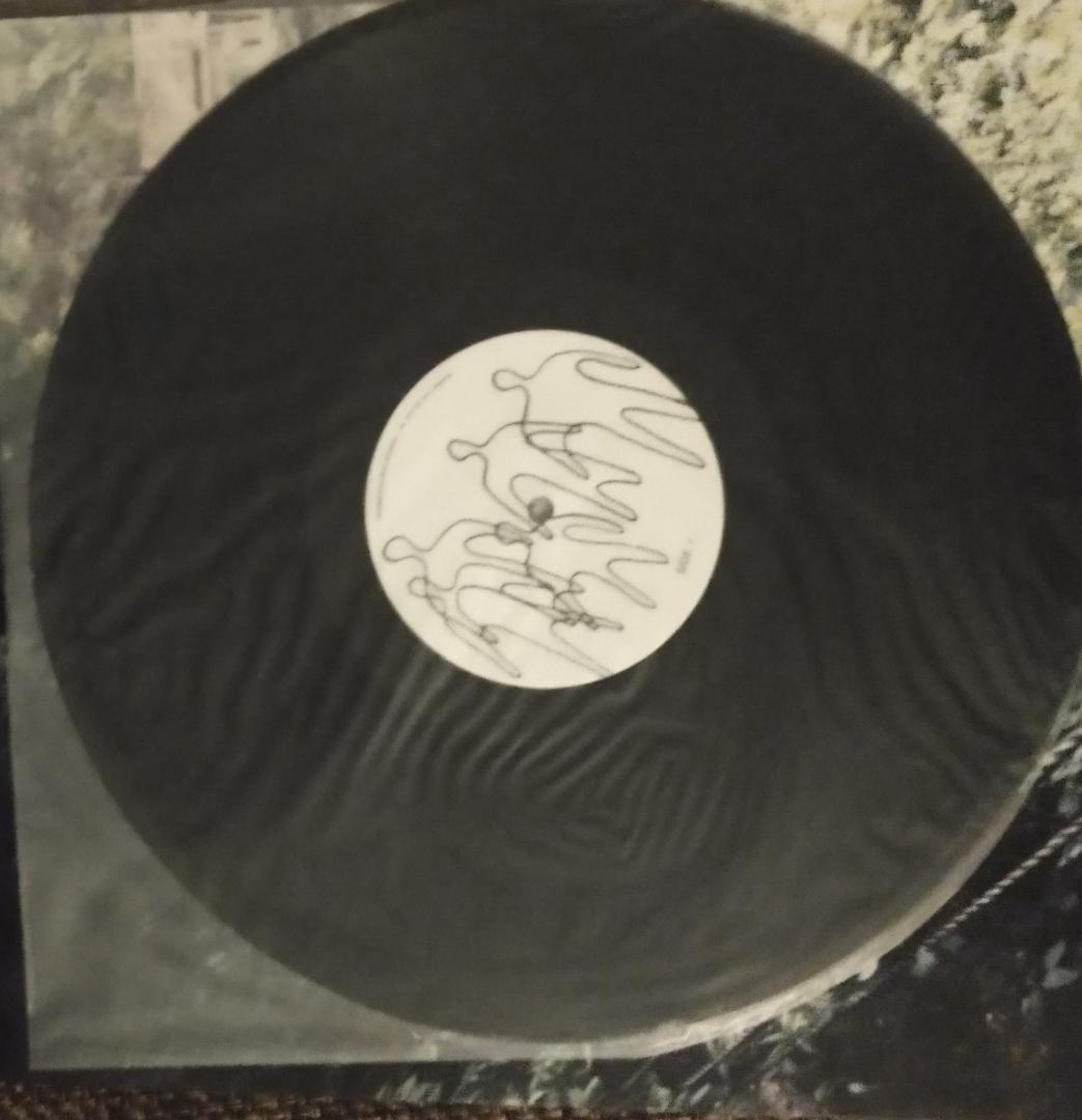 Fishmans long Season レコード