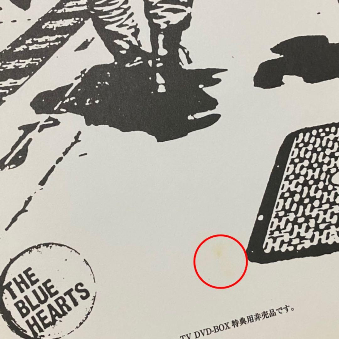 THE BLUE HEARTS on TV※DVD無し※【特典のみ】【箱付き】