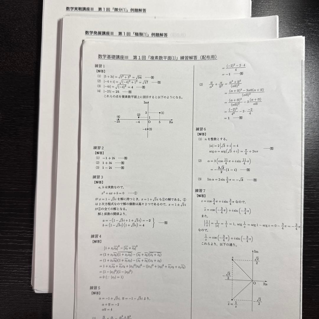 鉄緑会 数学基礎/発展講座Ⅲ 数学実戦講座Ⅲ 例題解答プリント