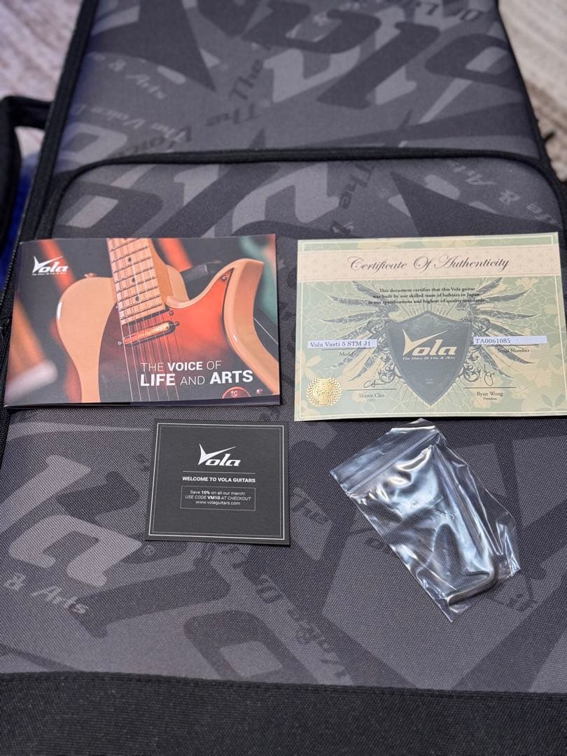 じ*ふ様 【美品】 Vola Guitars Vasti 5 STM J1