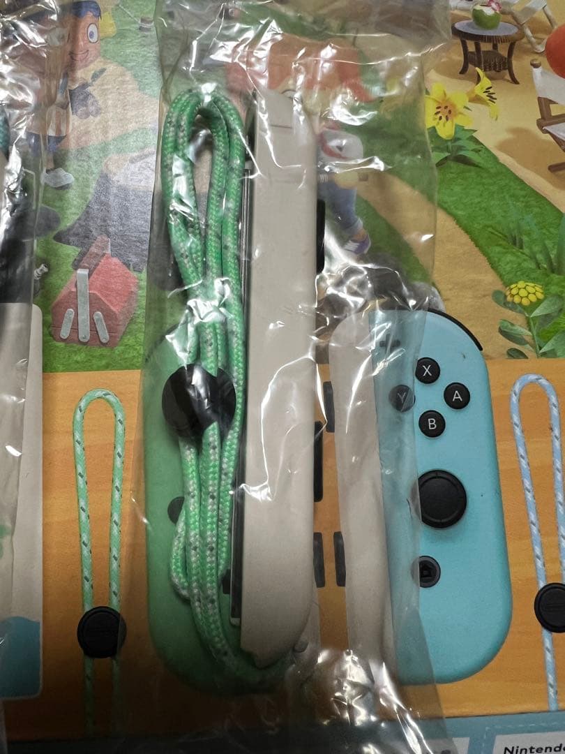 美品　Nintendo Switch あつまれどうぶつの森セット　初期化済