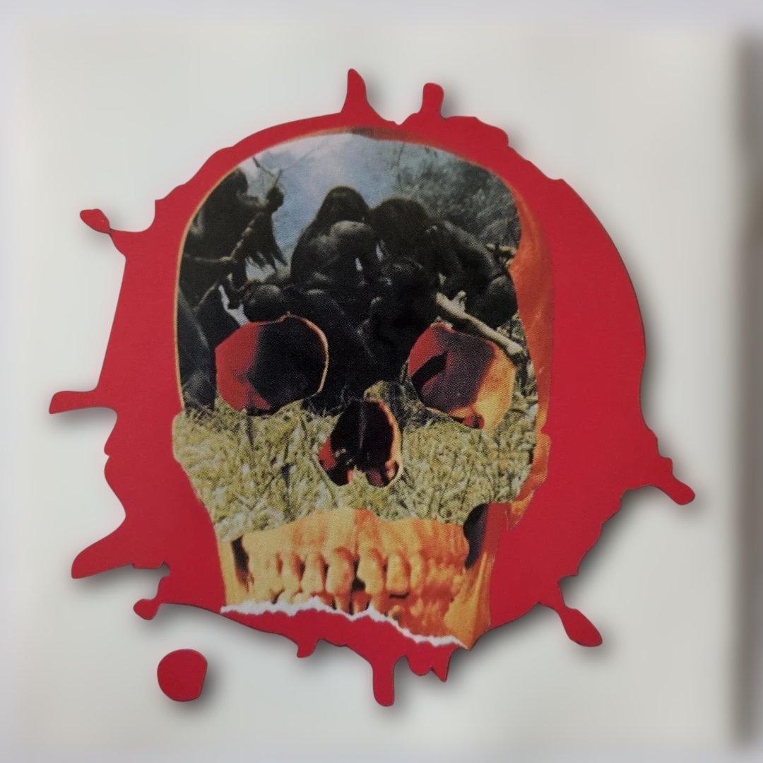 食人族 CANNIBAL HOLOCAUST サウンドトラック