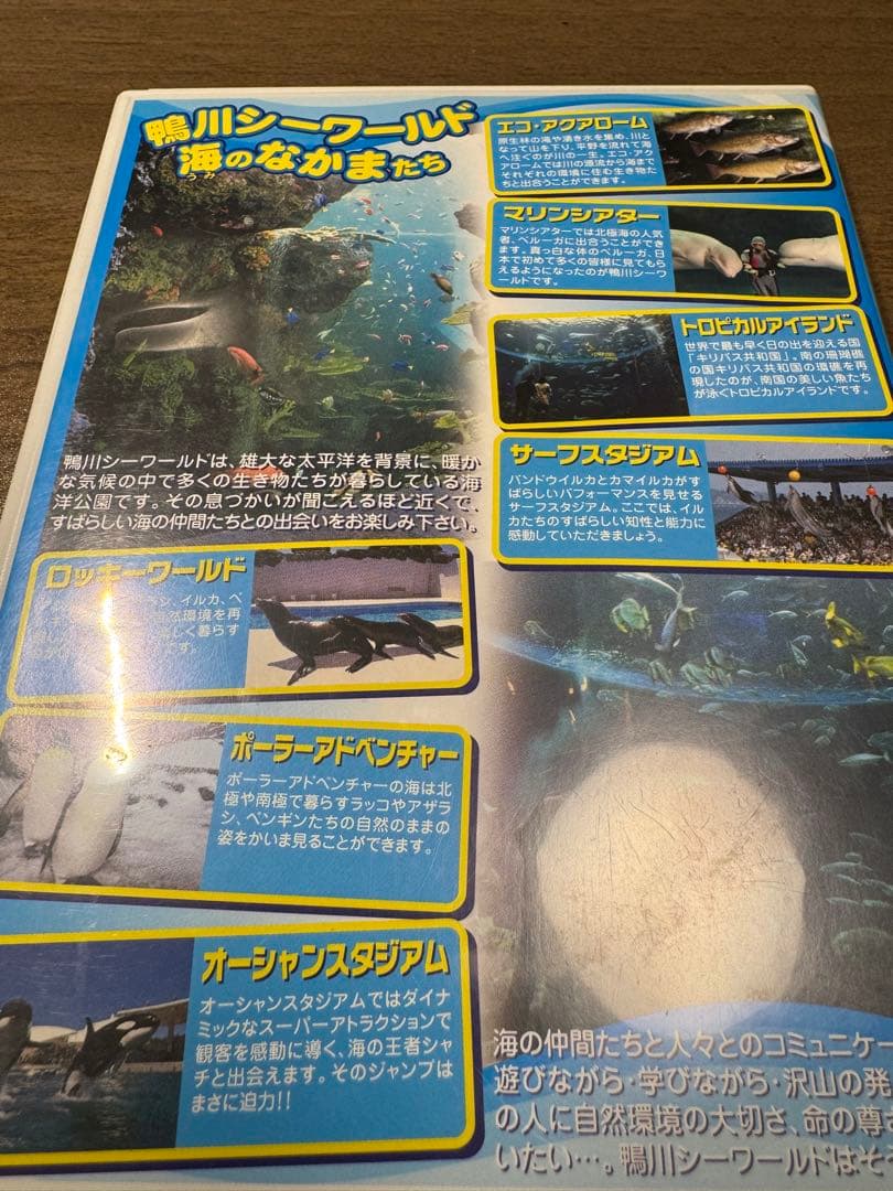 【数日限定販売】鴨川シーワールド 海のなかまたち DVD 限定映像 希少
