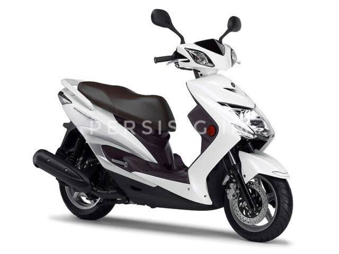 シグナスx Bw's125 260mmビッグローター ディスク ドレスアップ