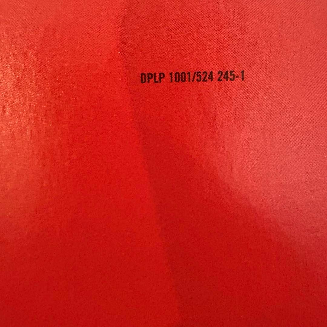 【レア】UK盤 NEARLY GOD/SAME/DPLP1001 LP