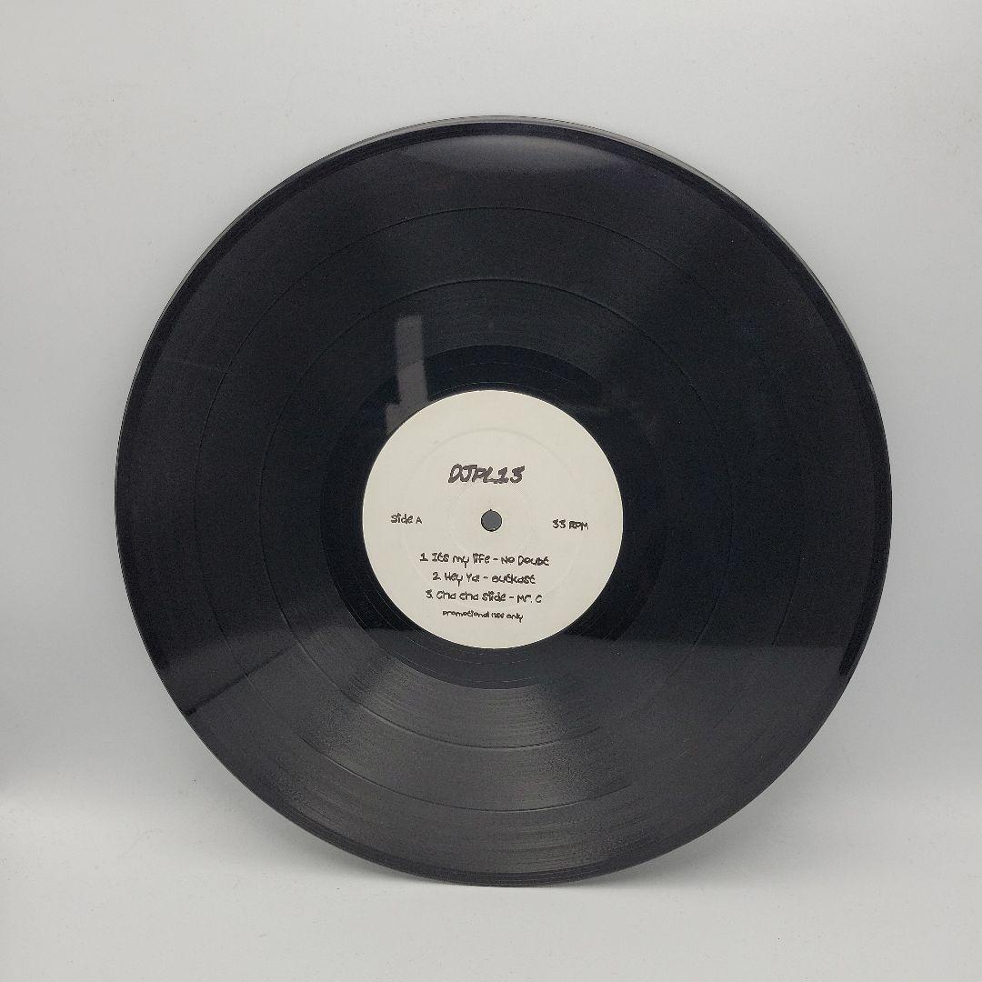 V.A./DJPL 13レコードLPオムニバスリミックス集プロモ盤激レア