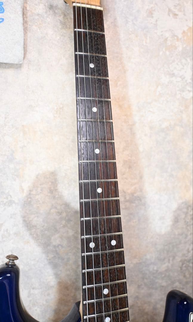 ウィルキンソン搭載 Laid Back RST-300W コイルタップ付