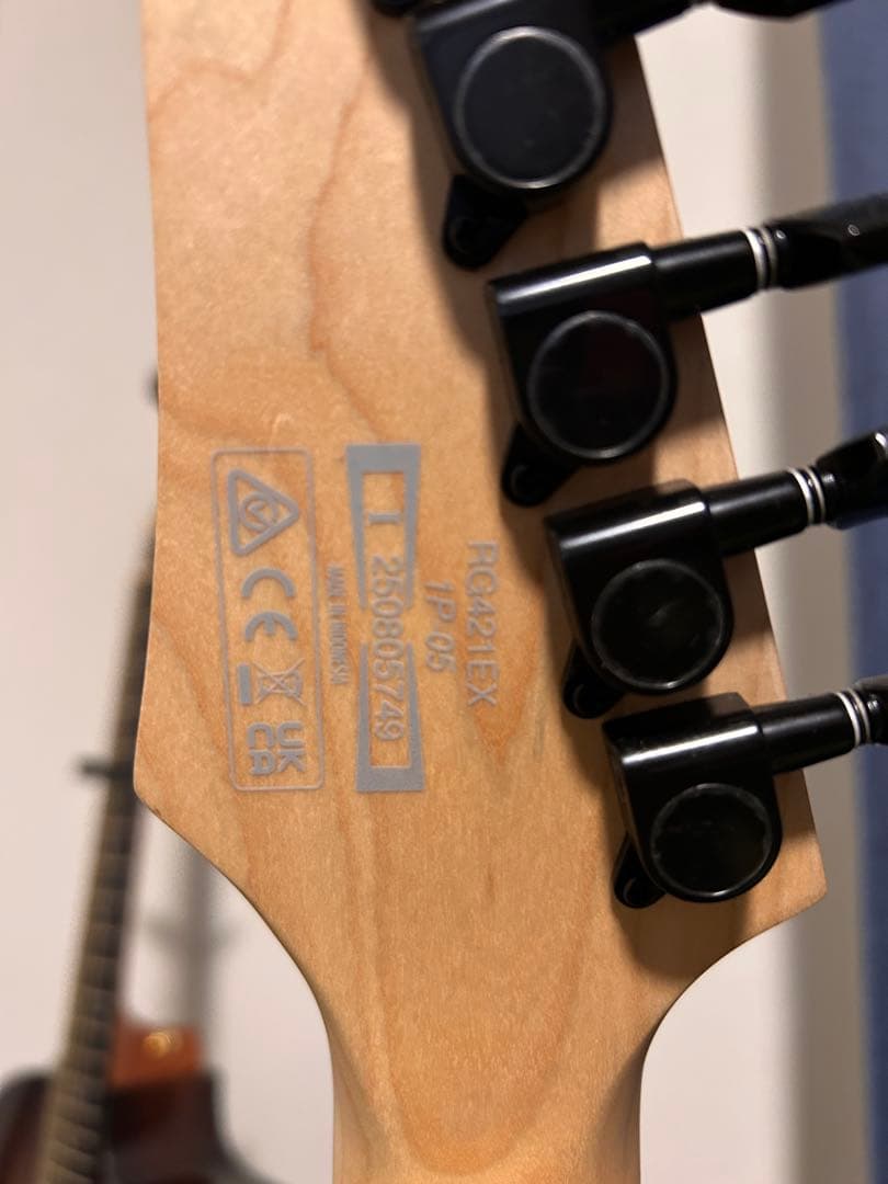 ギター Ibanez / RG421EX Black Flat (BKF)