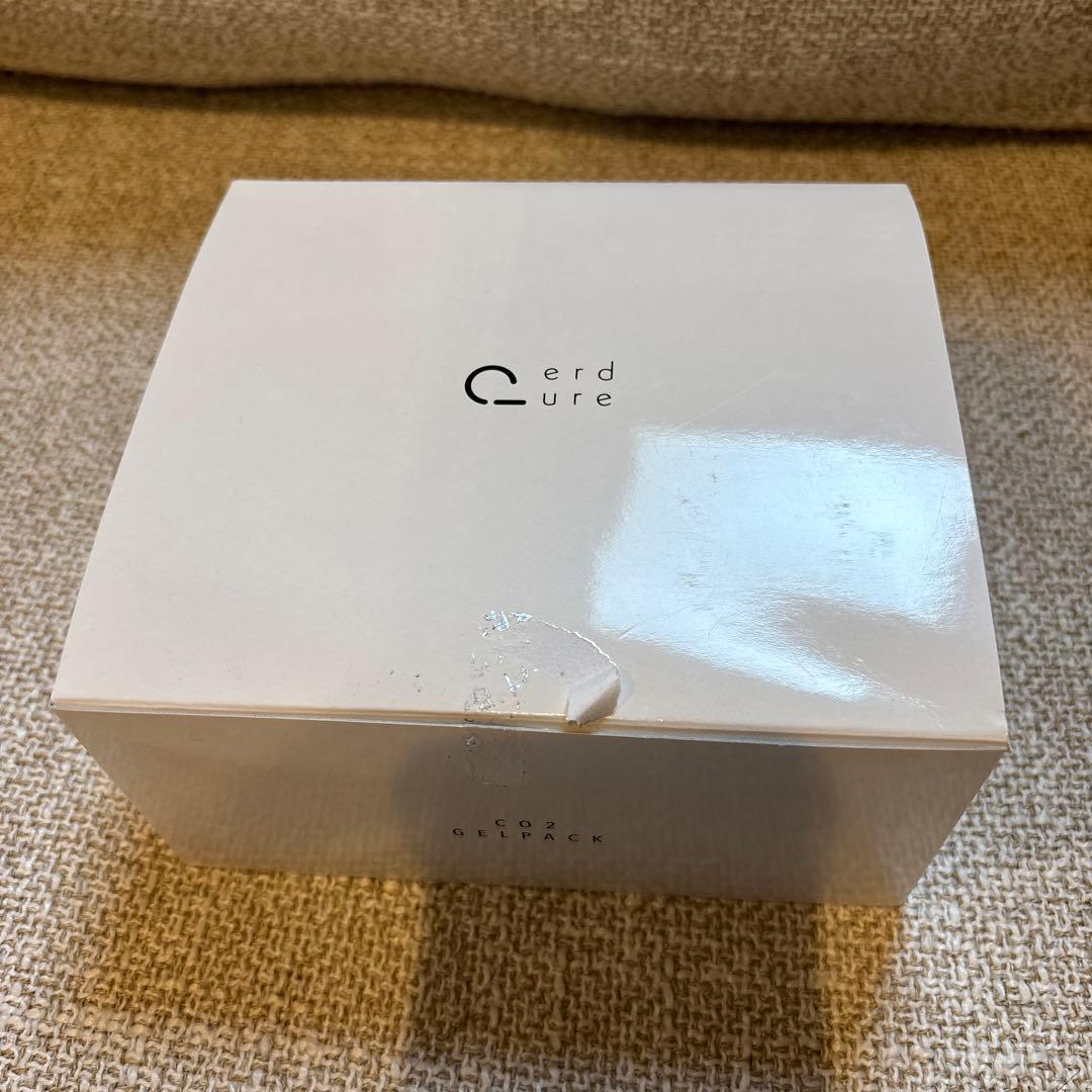 CO2 GELPACK 30g×2 日本製