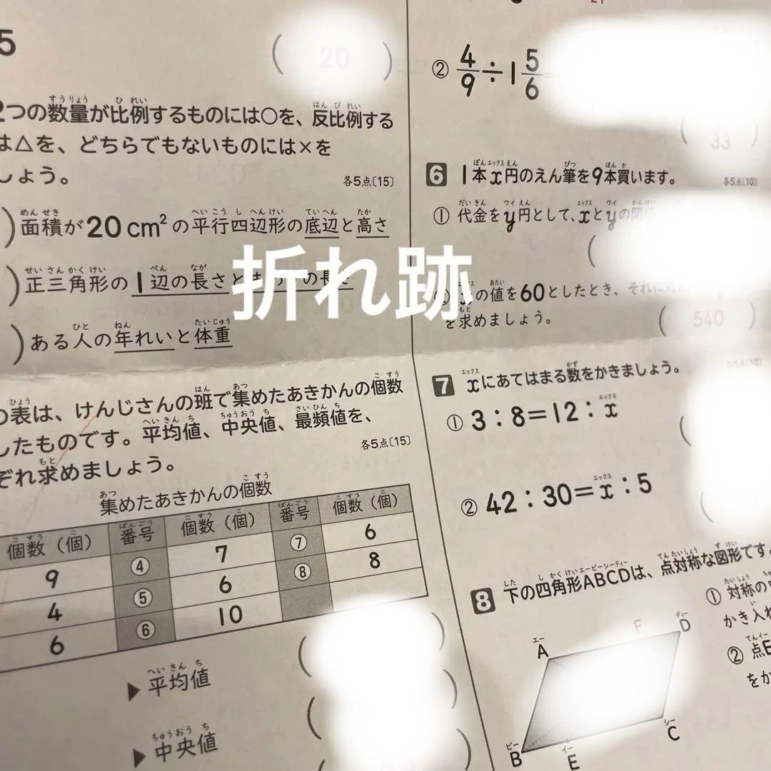 最新版‼️2025年度 小6 算数 解答のみ (教育同人社) 19枚