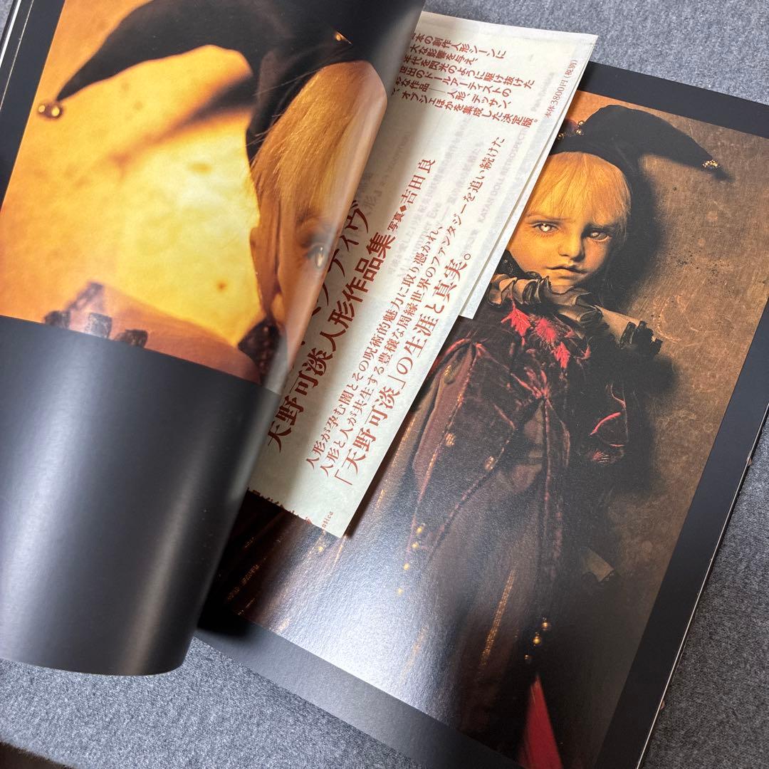 カタンドール・レトロスペクティヴ : 天野可淡人形作品集　球体関節人形