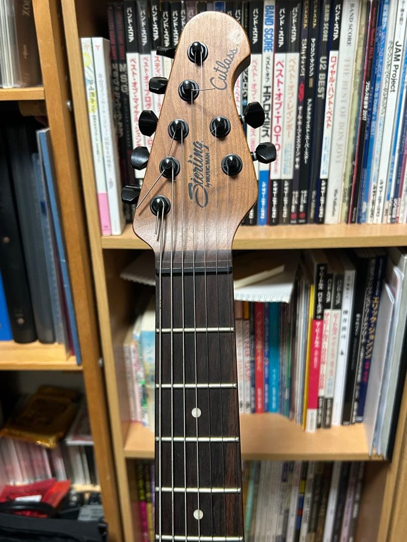 Sterling Richardson7 7弦ギター リチャードソン7