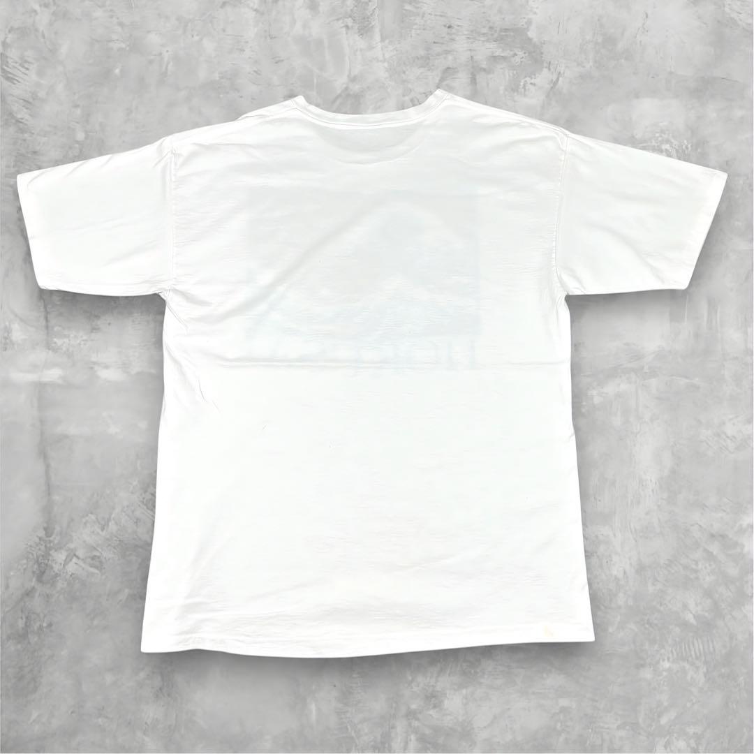 80~90s HOKUSAI KATSUSHIKA 葛飾北斎 アート Tシャツ