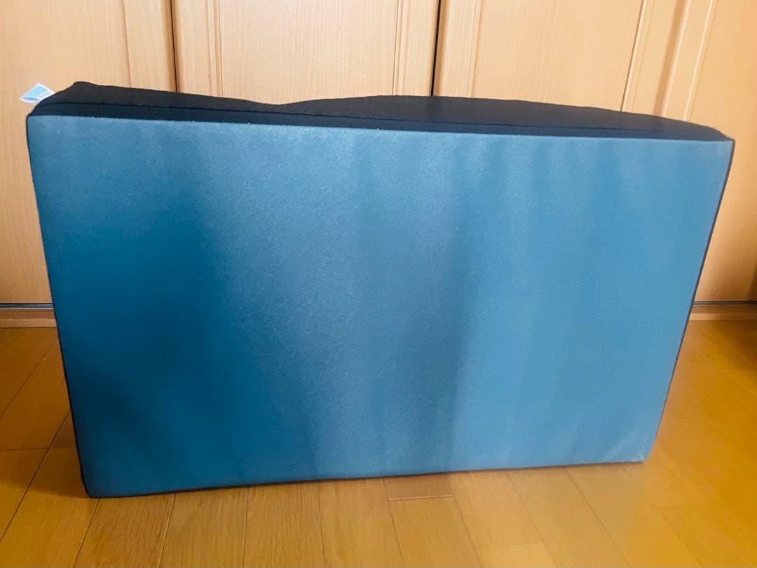 ★超美品★フレックスバレル くじら フレックスクッション　サンテプラス株式会社