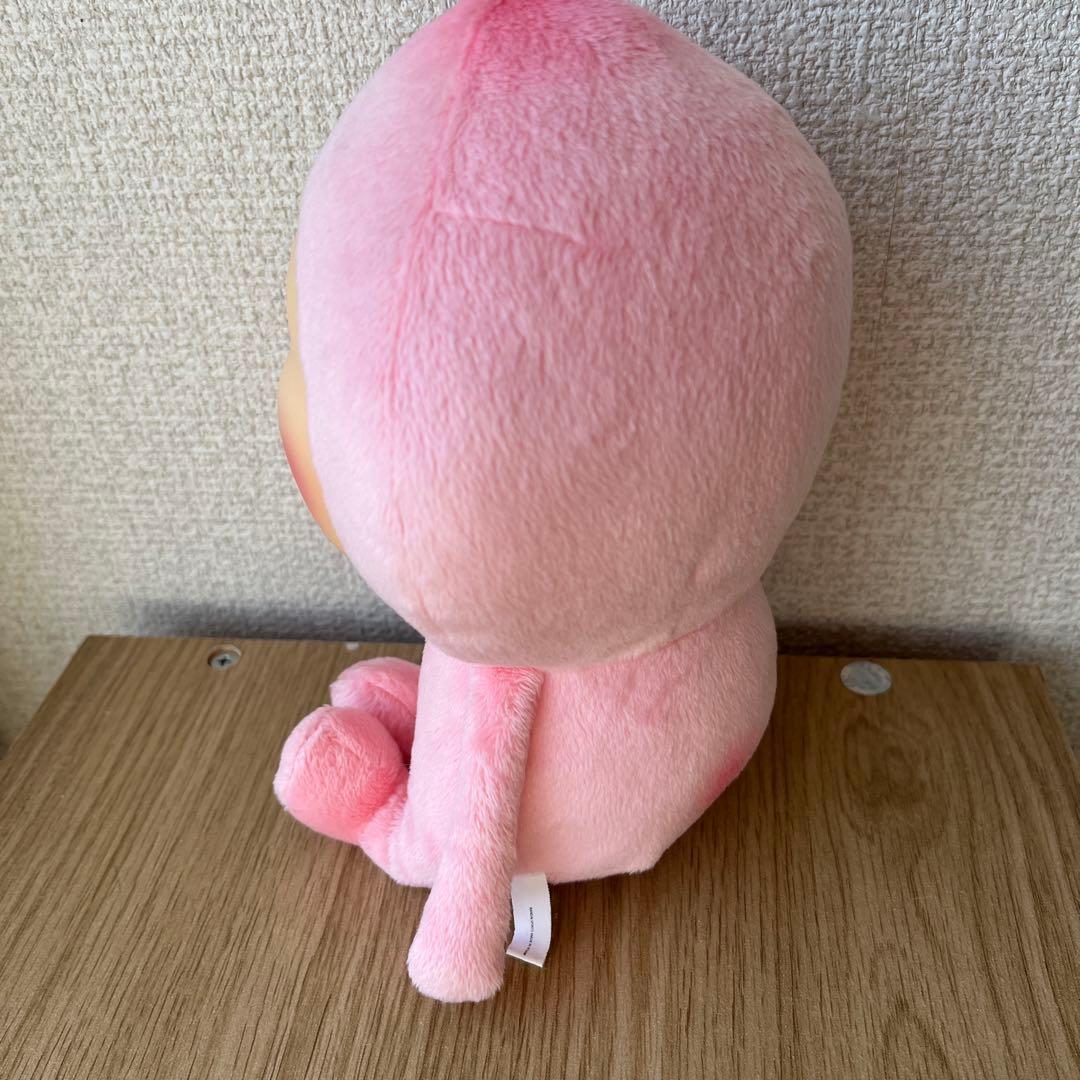 こびとづかん 一番くじ　A賞