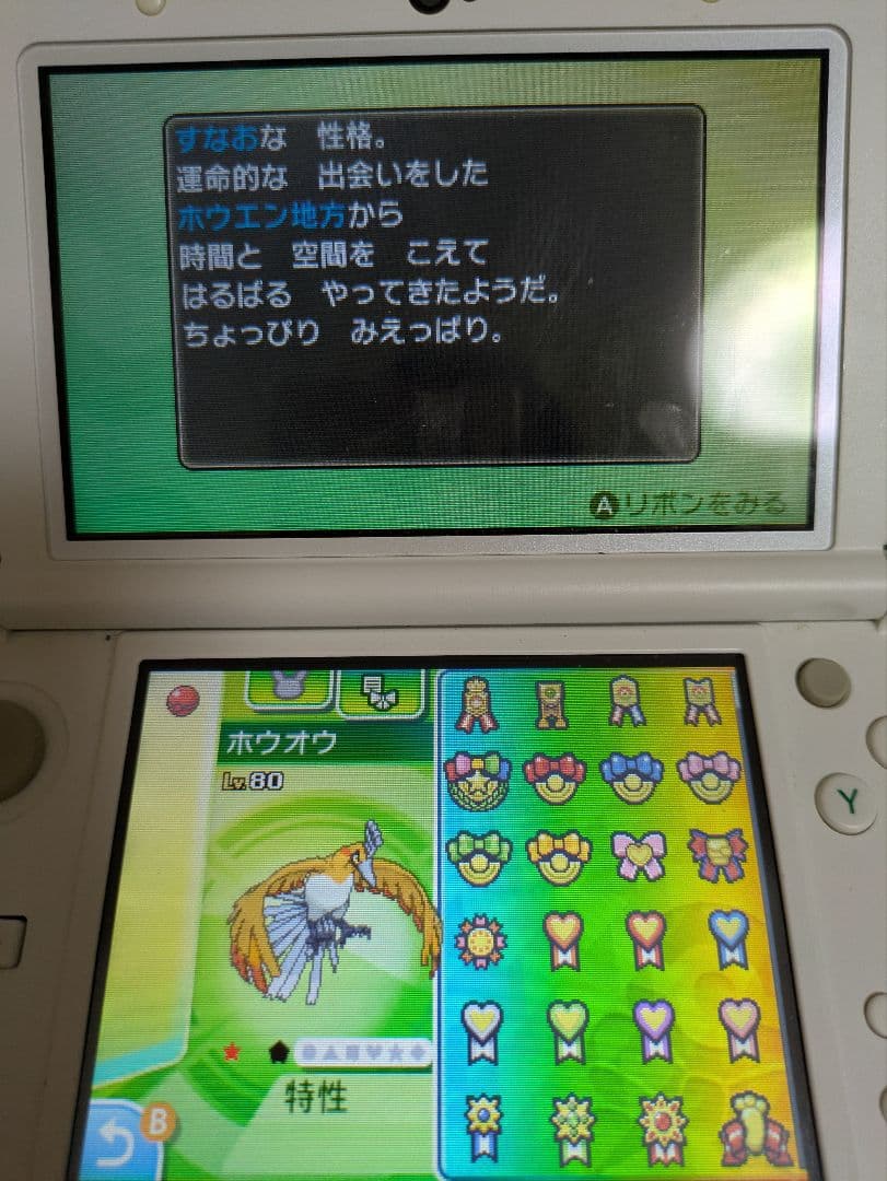 その他 bamboo