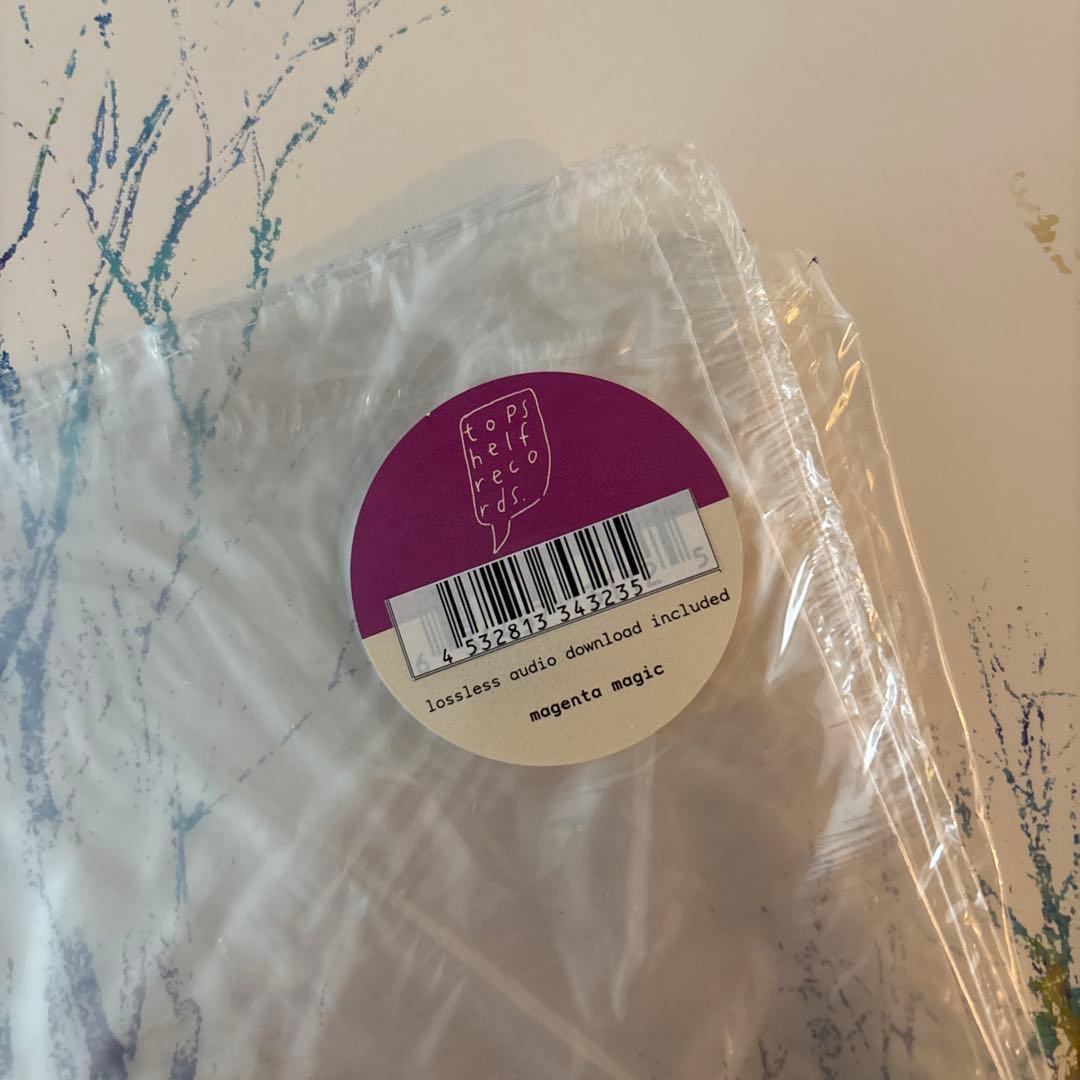 【希少、国内仕様】parannoul -After the Magic レコード