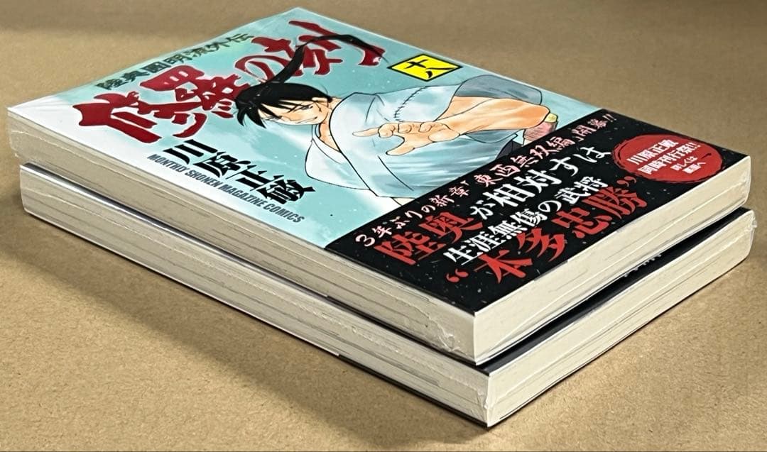 初版 帯、シュリンク付き 陸奥圓明流外伝 修羅の刻 18巻 19巻 2冊セット